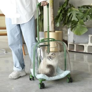 Valise sac dos animaux transparente – caisse de transport