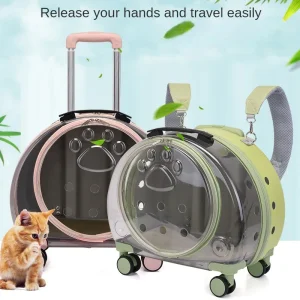 Valise transparente animaux roulettes – caisse de transport