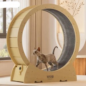 Autre chat – arbre à chat, griffoir chat, tour pour chat
